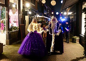 Kostuums -Winterkoning en koningin